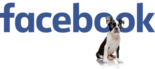 Moonbarks Facebook